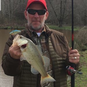 Meet your Posher, Stephen